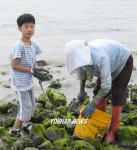 "저도 낙지 한마리 잡았어요"