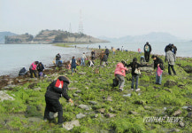 해삼을 찾아라