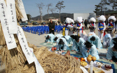 굴까기전집 | "빨리 굴을 까보고 싶습니다"