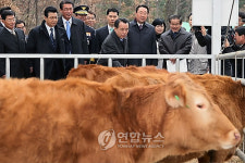 농업회사법인 횡성명품한우유통사업단 주식회사 | '가짜 횡성한우' 대량 유통..이미지 먹칠