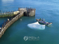 남해 연안의 원시어업 죽방렴 시설
