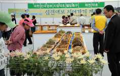 약초인농특산물 | 제천의 우수 약초들
