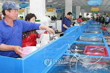 수산물판매센터제 - 20581 | 영업 시작한 울산 일산수산물판매센터