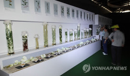 불꺼진 제천한방엑스포 약초탐구관