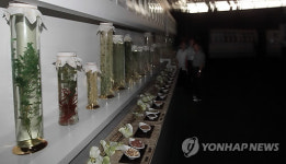 성은한방약초 | 불꺼진 제천한방엑스포 약초탐구관