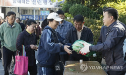 대곡농산물판매상 | 배추 할인판매장 '장사진'