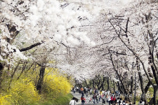 후기
