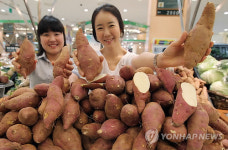 농업회사법인유한회사행복한고구마 | 달콤한 햇 고구마 맛보세요!