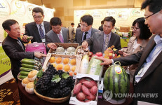 벽제농산물상회 | 우수 농산물이 한자리에