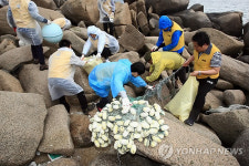 조도여객자동차정비소 | "조도(鳥島)를 살립시다"