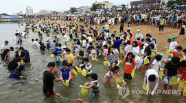 속초 장사항 오징어 맨손잡기 축제 28일 개막