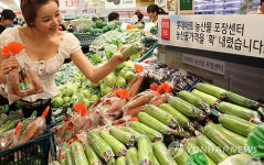 복정야채왕할인마트 | 롯데마트, 채소류 할인 판매