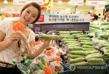 복정야채왕할인마트 | 롯데마트, 채소류 할인 판매