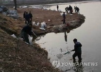 시흥 과림저수지 물고기 떼죽음