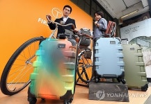 젊은 감각의 티텍바이투미