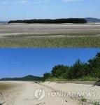 태안해안 할미섬 주변 옹벽 철거…'자연사구' 복원