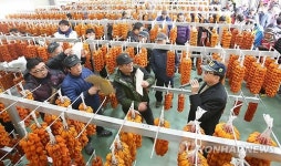 지리산농임산물판매장 | 지리산 함양곶감 경매