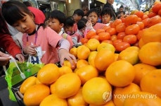 조팀장야채과일재래시장 | 전통시장 과일 고르는 어린이