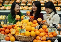 오렌지마트(주)아프로유통 | 농협유통, 국산오렌지류 소비촉진행사 개최