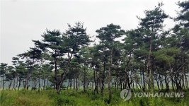 인앤숲산림엔지니어링 | 조경업체 대표 수원시에 수목 47억 상당 기증