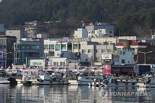 부산 다대포·천성·대변항 '명품 어항' 탈바꿈한다