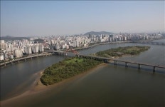 '생태계 보고' 밤섬 철새 산란기 맞아 대청소