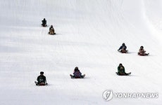 "야호 신난다!"…겨울에는 눈썰매가 최고