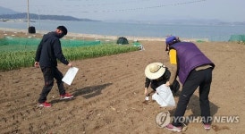 시료 채취하는 보성농업기술센터