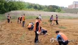 원주시산림조합유통지점 | 원주에 '탄소상쇄 숲' 조성