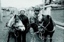 마부하이아시안스토어 | 부부 마부
