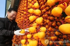 빛조은햇살곶감 | 청정공기와 햇살로 말리는 '산청곶감'