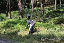 소가야묘이장대행 | "자손에게 폐 끼치는 무덤 없애라" 폐묘 5년새 2.5배 급증