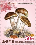 칠보산송이H&B | 북한, 칠보산 송이버섯 소개 우표 발행