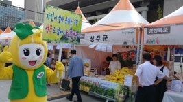대구농특산물유통대구장터지점 | 추석 제수는 경북 농특산물로…서울·대구서 직거래장터