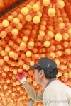 곶감 말리는 농부의 정성