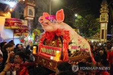 베트남 '돼지 행렬' 축제