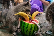 '다 내꺼'