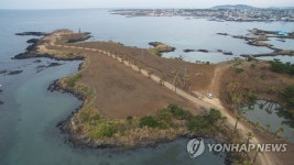 한양대 재단 불법개발로 훼손된 '대섬'