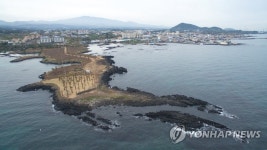 한양대 재단 불법개발로 훼손된 '대섬'