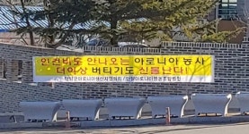 1㎏당 1천원 '헐값' 전락 아로니아…"재배하느니 뽑아버리겠다"