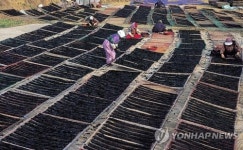 기장-한가네미역다시마 | '봄의 맛' 기장 특산물 미역·다시마 축제 18일 개막