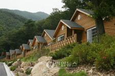 용인 백암면에 체류형 관광단지 '팜 앤드 포레스트 타운' 만든다