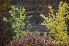 가을 담기