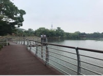 학산중학교 서편 녹지 - 3958 | '대구 대표 도시숲' 성당못 서편에 조성…2만여㎡ 규모