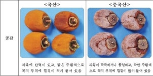 손불농원건강원 | 농관원 "설 농산물 국산 여부 꼼꼼히 확인하세요"