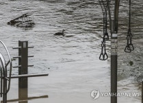 온천천1지구(사직천~세병교 ) 운동시설 | 물에 잠긴 부산 온천천 체육시설