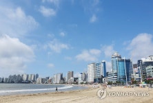 "열대우림 스콜? 오락가락 날씨" 부산 오전엔 해 오후엔 비