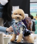 새 옷 입어요