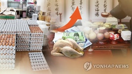 물가협회 "설 차례상 비용 23만3천750원 예상…11% 증가"