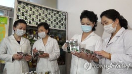 금연화원앤금강식품 | 금연 보조용 건강식품 생산하는 북한